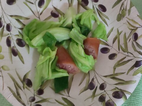 キャベツとウインナー♪ねぎ炒め